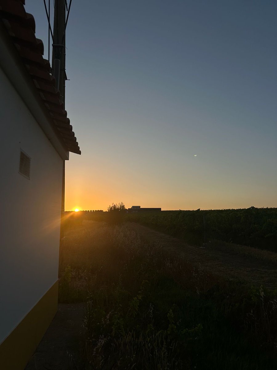 quintadapacheca's tweet photo. Our sunset needs no words — it turns the landscape into a memory. 😍

Book your visit 👇
https://t.co/Xp6lNPqJl2

📞 +351 967 409 249
📧 tours@ribafreixo.com

#ribafreixowines #winetourism #sunset #alentejo #vidigueira #visits #pachecagroup https://t.co/vWsrsRuVZL