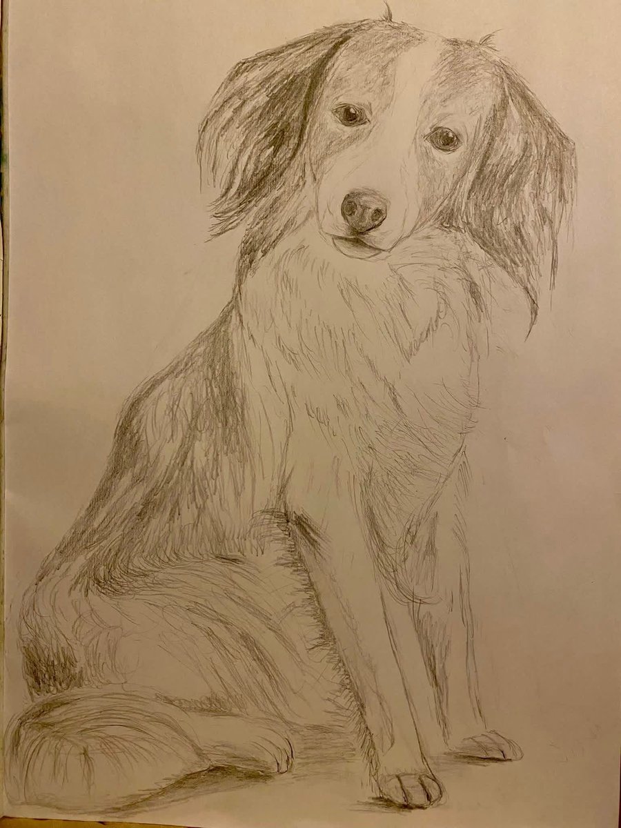 Vic354735522203's tweet image. Dogs never go out of fashion #Dog #Pooch #Drawing #Bestfriend