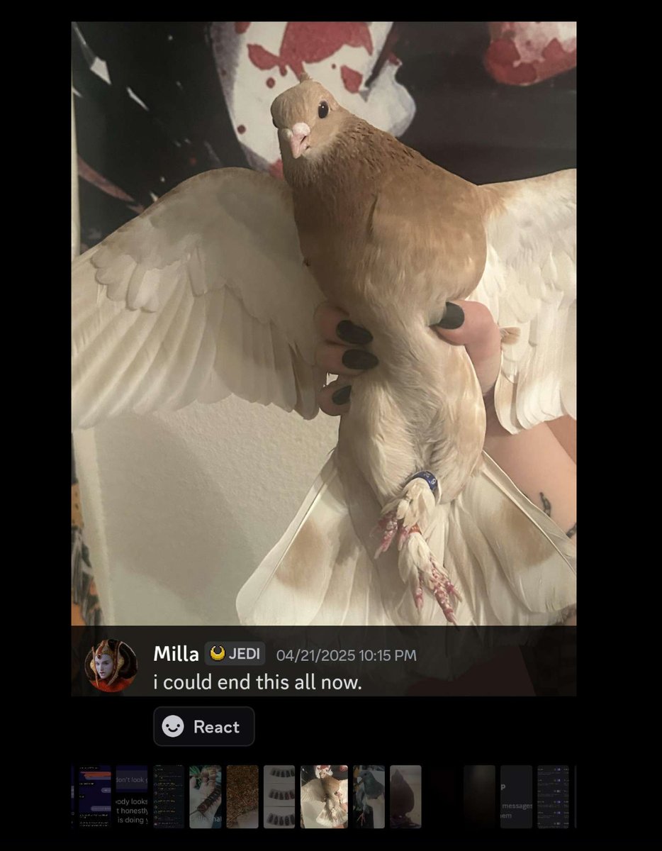 Kcalbug Abuses Animals tweet media