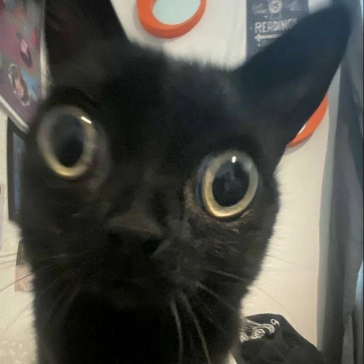 what if i told u we can go much much lower

we've endured it before, we can do it again