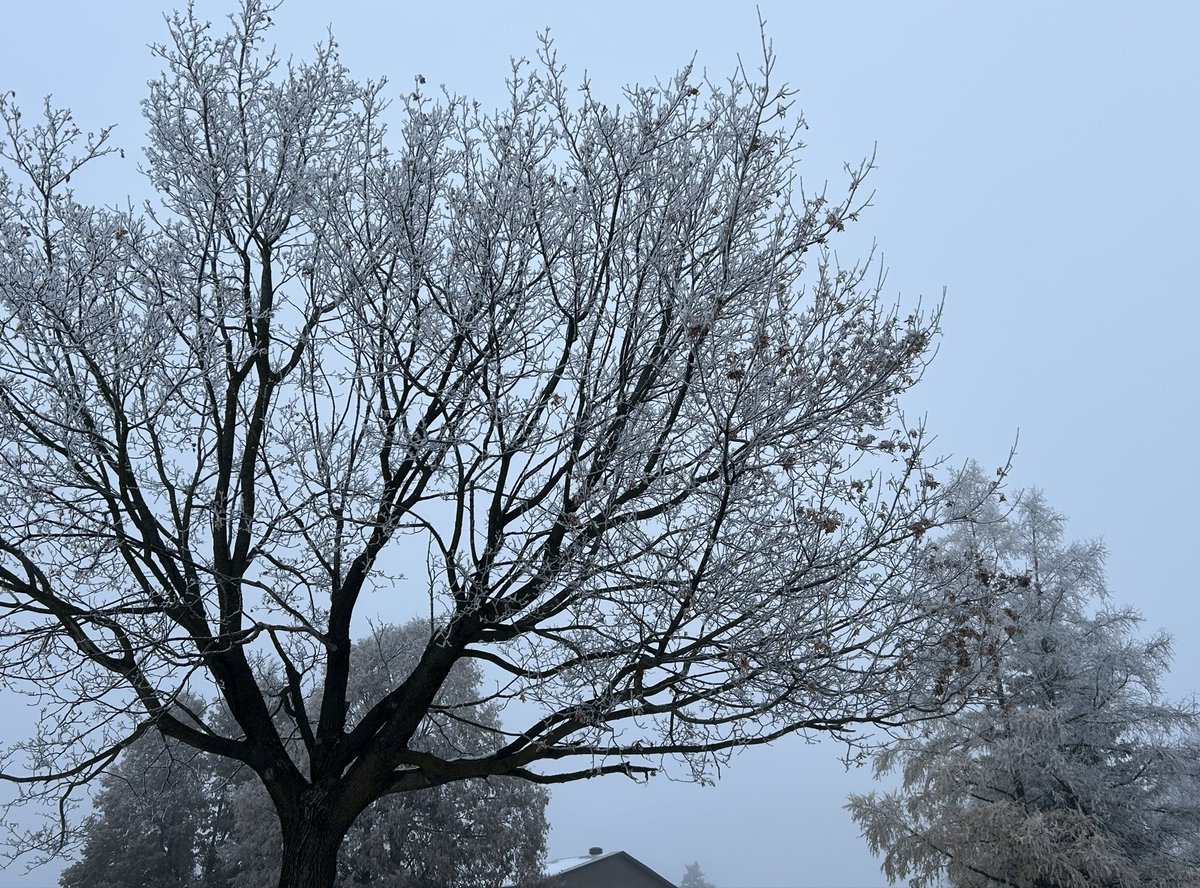 paintitblackkk's tweet photo. loved the weather this morning https://t.co/9oFgSdFW9E