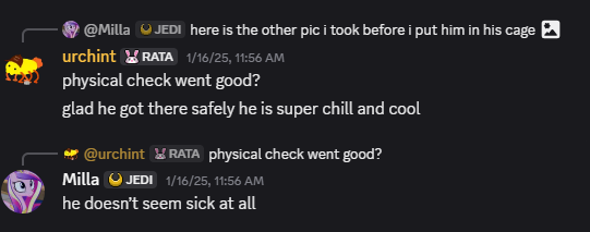 Kcalbug Abuses Animals tweet media