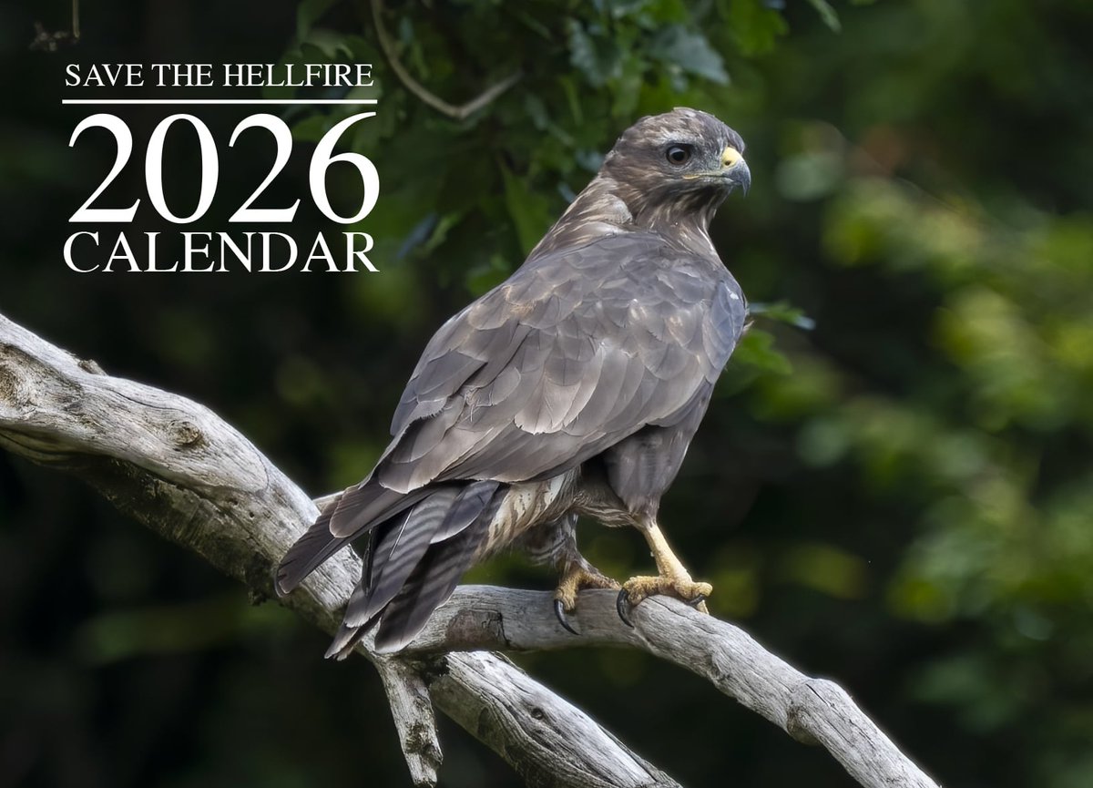 SavetheHellfire's tweet photo. Our 2026 calendar is now available at the following local outlets (only €10.00):
Country Store &amp; Cafe @Timbertrove 
Get Fresh - Ballyroan
Grange Star Shop
Sylvia's Yoga Classes at Mutton Lane Yoga Studio 
Rathfarnham Book Shop
Village Vets Stillorgan
https://t.co/pSzgW8fqU3 https://t.co/YzPxrkw9Xd