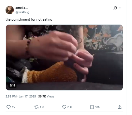 Kcalbug Abuses Animals tweet media