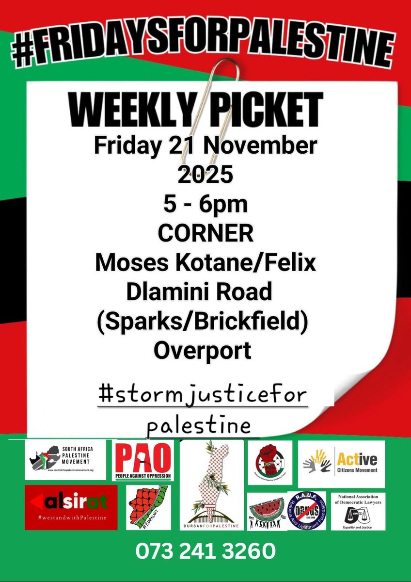 SaydoonSayed's tweet image. 