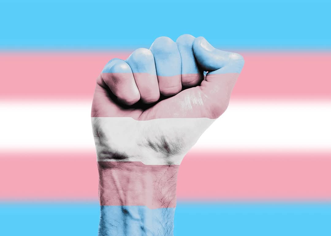 Freedomzone68's tweet photo. It's #TransDayofRemembrance. Take a moment to think about the many trans and non-binary people who have been murdered and died by suicide, this year, due to the prejudice and violence in the world.

Things are getting worse not better. We stand by the words of @FoxFisher✊️🏳️‍⚧️ https://t.co/Af1irdjcCt