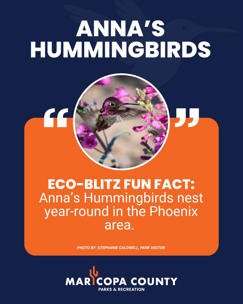 Maricopa County Parks tweet media