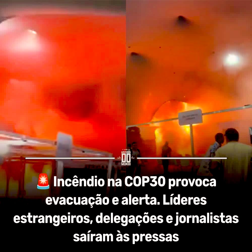 Gente, quem salvou as girafas? 🦒 
(Irony).