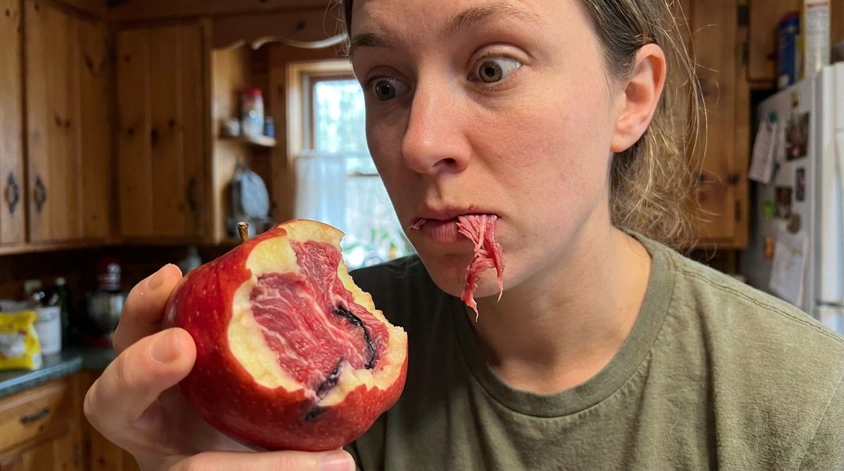 gokaygokay (@gokayfem) on Twitter photo 