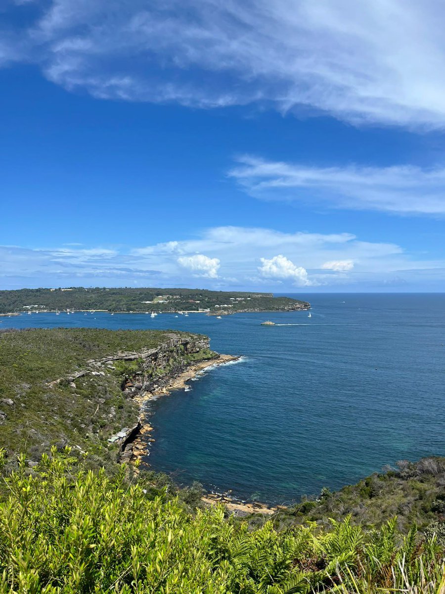 usebigkey's tweet image. The world is so big, but at this moment, only blue and freedom remain. 🌿💙✨