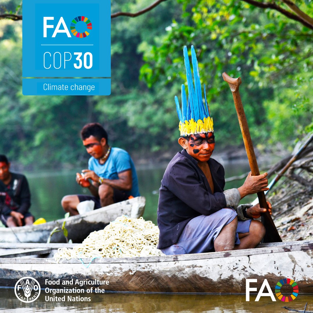 FAOfish's tweet photo. Indigenous Peoples are key to a just climate transition.
Their knowledge strengthens aquatic food systems, driving resilient, low-carbon solutions. Policies must be shaped with them, not around them.
Learn more 👉 https://t.co/m6HYFUeK70
#COP30 #SSFGuidelines https://t.co/hkwzaW7EvG
