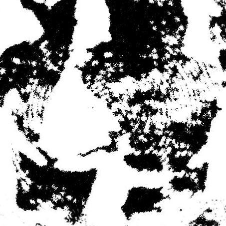 SAMEDI 

COVER + DATE 

🦴