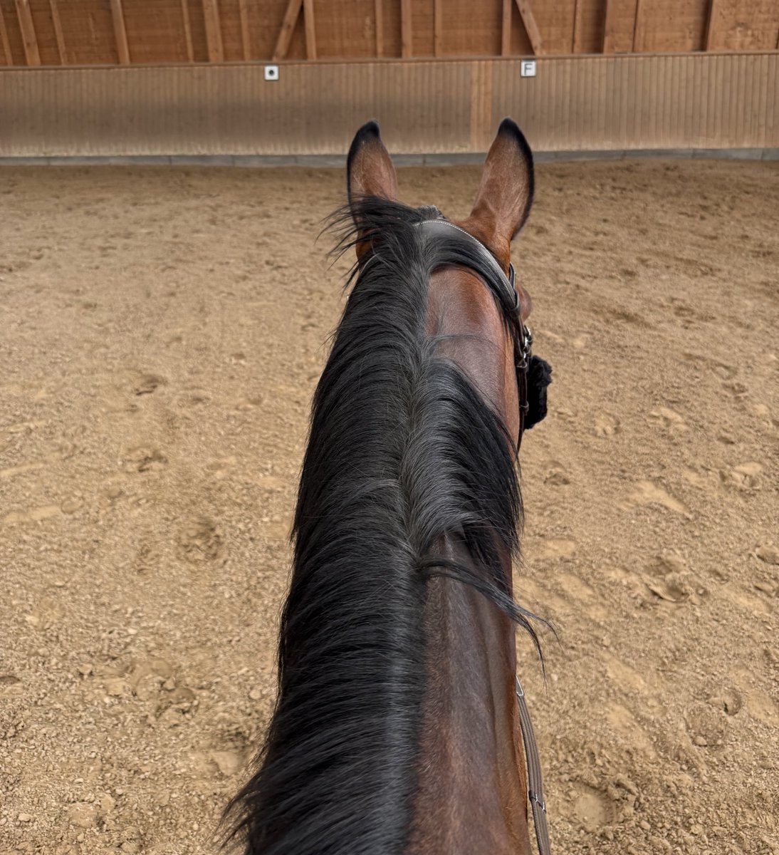 navigatingxm's tweet image. life outside tw 💚