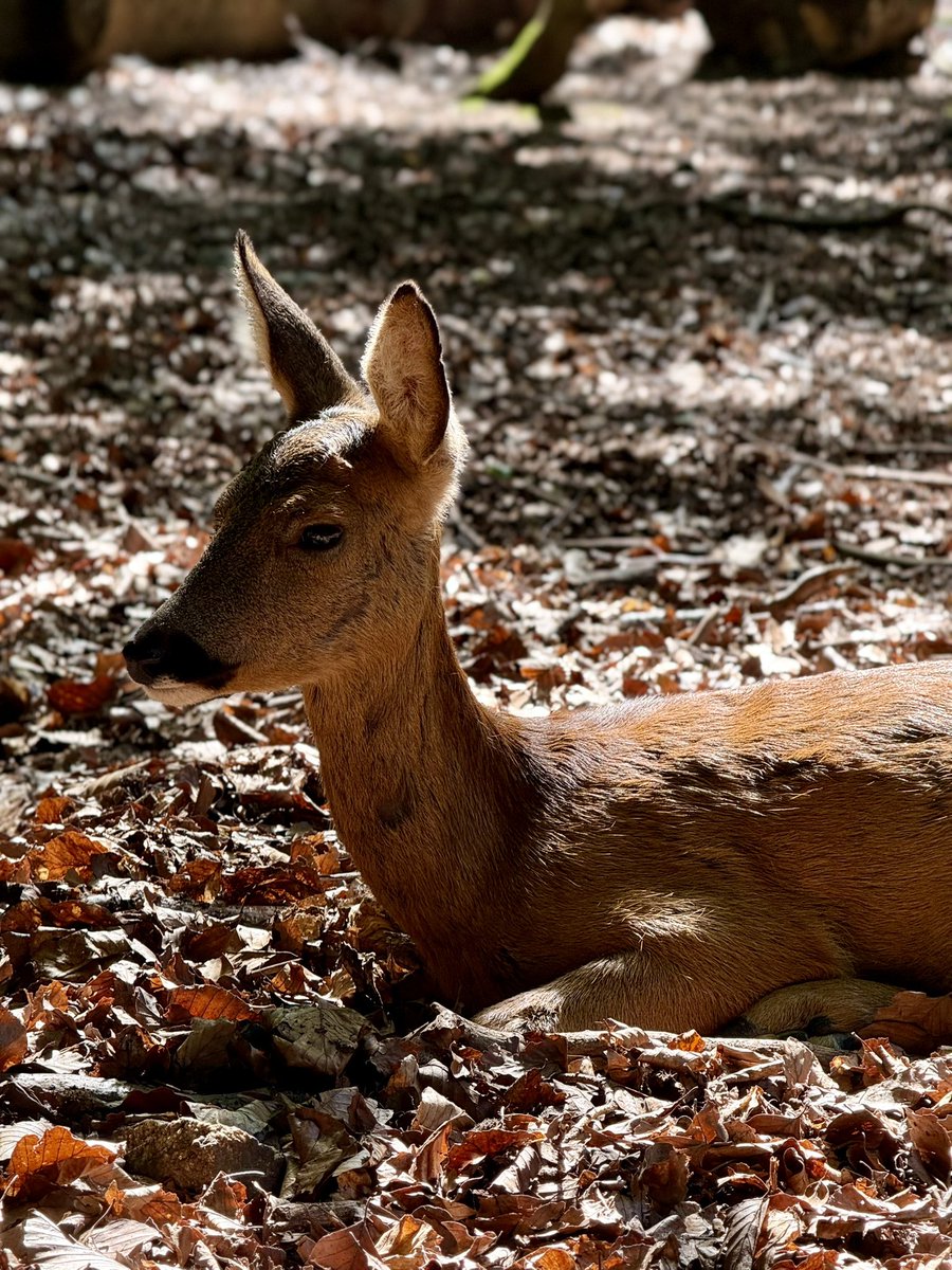 navigatingxm's tweet image. life outside tw 💚