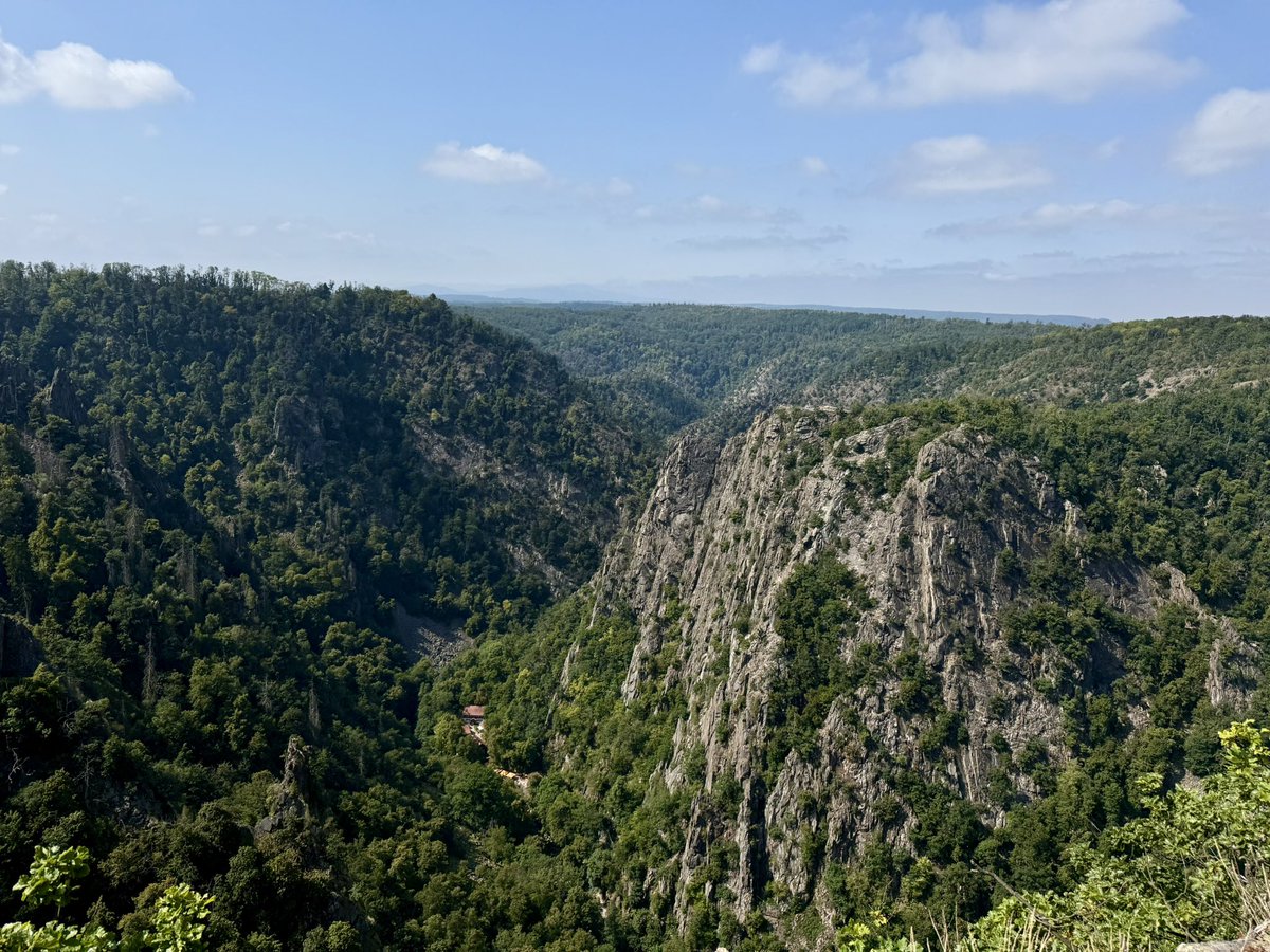 navigatingxm's tweet image. life outside tw 💚