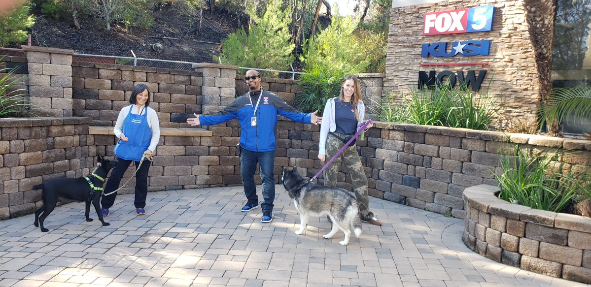 encdogguy's tweet image. Heather Lake and Shally Zomorodi introduced Adoptable Dogs from Rancho Coastal Humane Society on the FOX 5 San Diego Morning News. Polly Pocket and Loaded Piper are available NOW! Visit sdpets.org. #fox5sandiego #adoptabledogs
#shallyzomorodi #heatherlake
