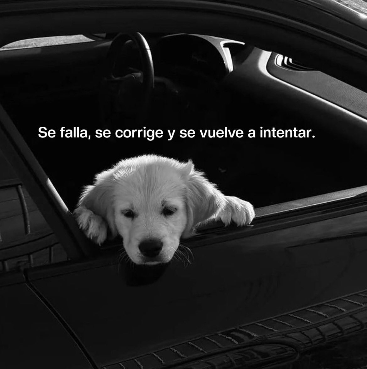 vibes (@vibesfyp) on Twitter photo 