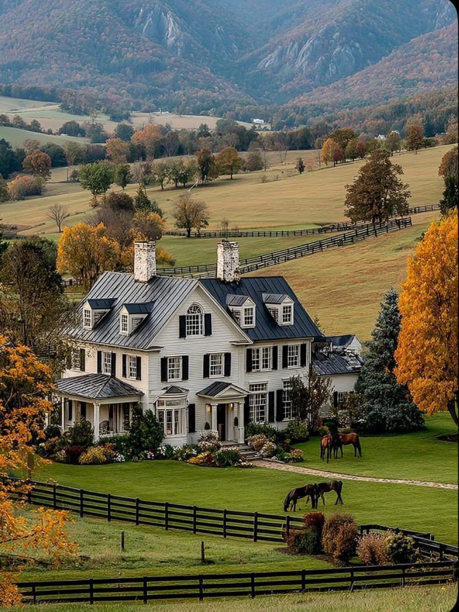 Elle Lookbook tweet media