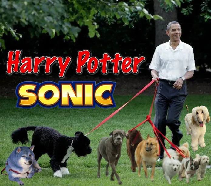 BitcoinOscarD’León tweet media