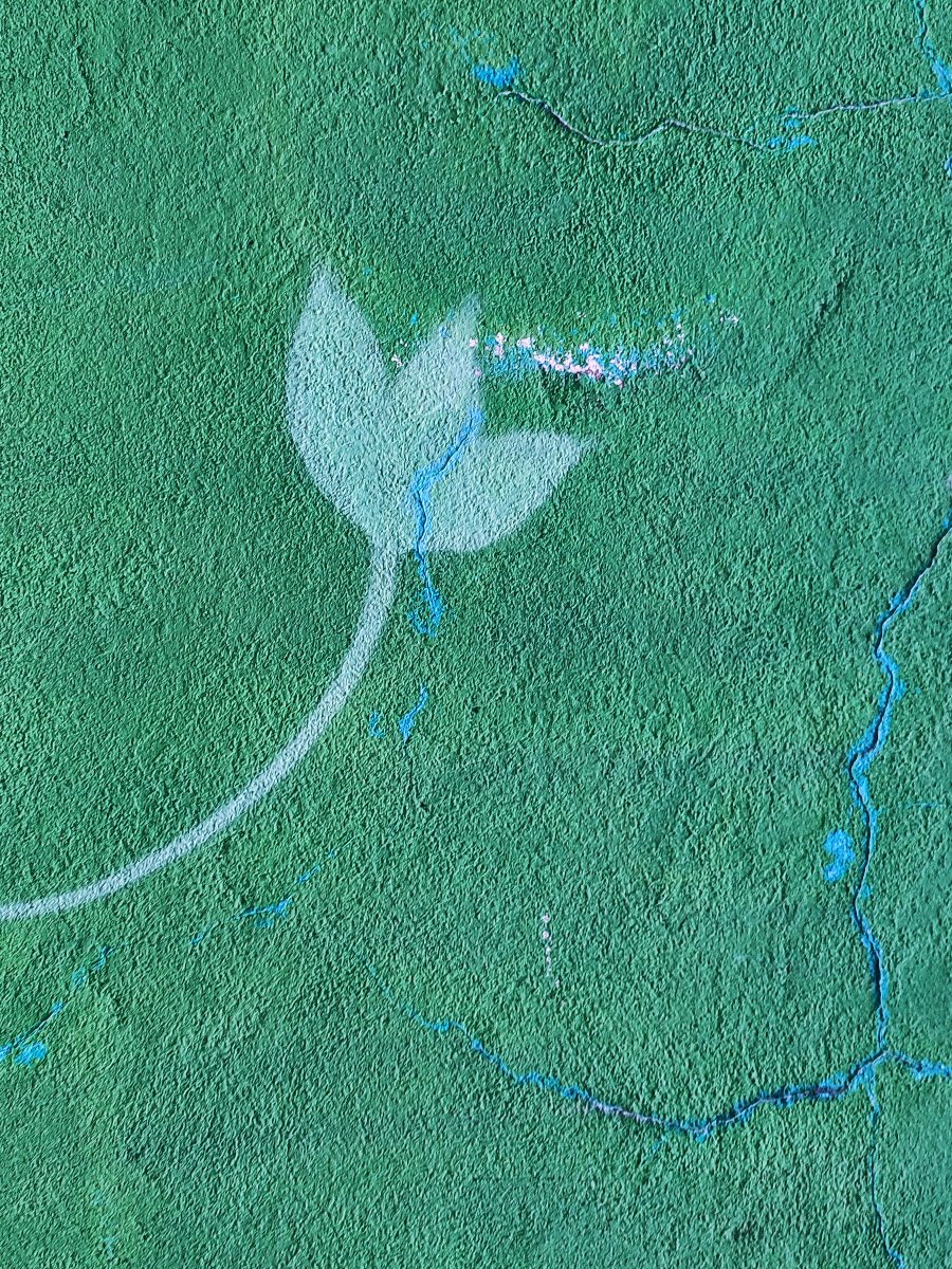 Sallysharifi's tweet image. Growth does not always need soil!

24 hours #openedition just activated for &quot;Static garden&quot;