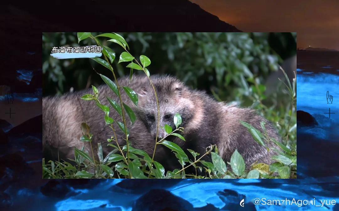 bitRead25's tweet image. 😨Gum’s buy, mouth’s chew—snack’s new.🍋Rest/action, balanced. Rhythm.