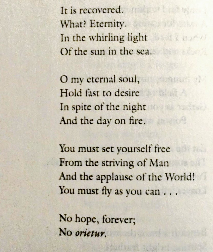 Aleksander tweet media