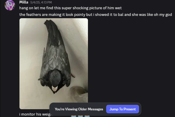 Kcalbug Abuses Animals tweet media