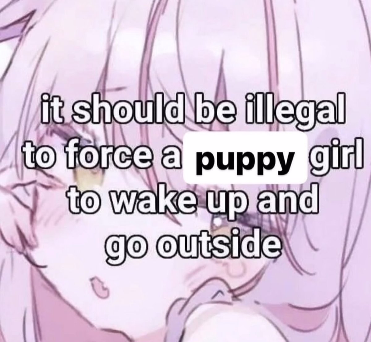 Guttergore1's tweet photo. https://t.co/k1qu0ZpE0x