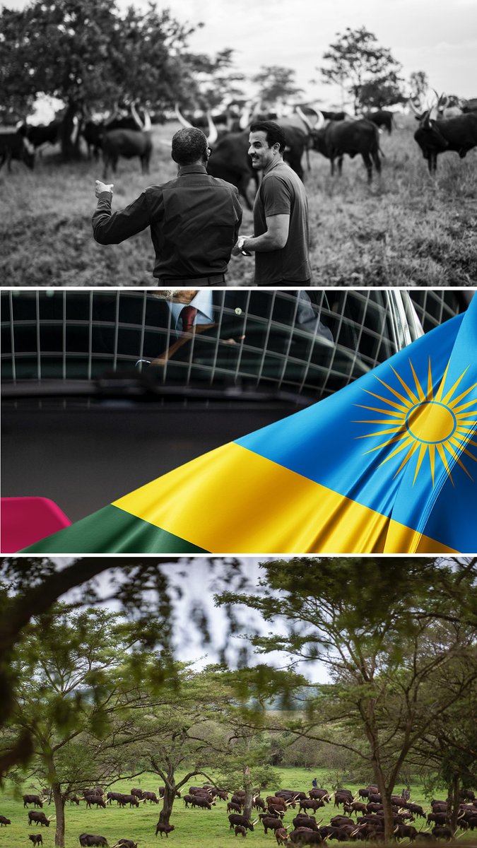 NuruFreddy's tweet photo. Strength in partnership. Rwanda welcomes His Highness Sheikh Tamim bin Hamad Al Thani. @TamimBinHamad

Click to view. 👇 https://t.co/3Gp6EsK1Sj