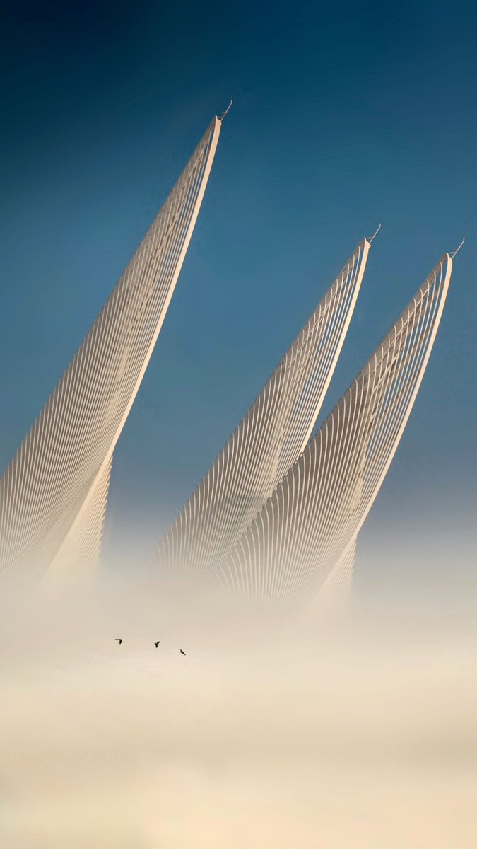 شموخ tweet media