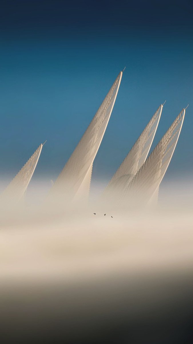 شموخ tweet media