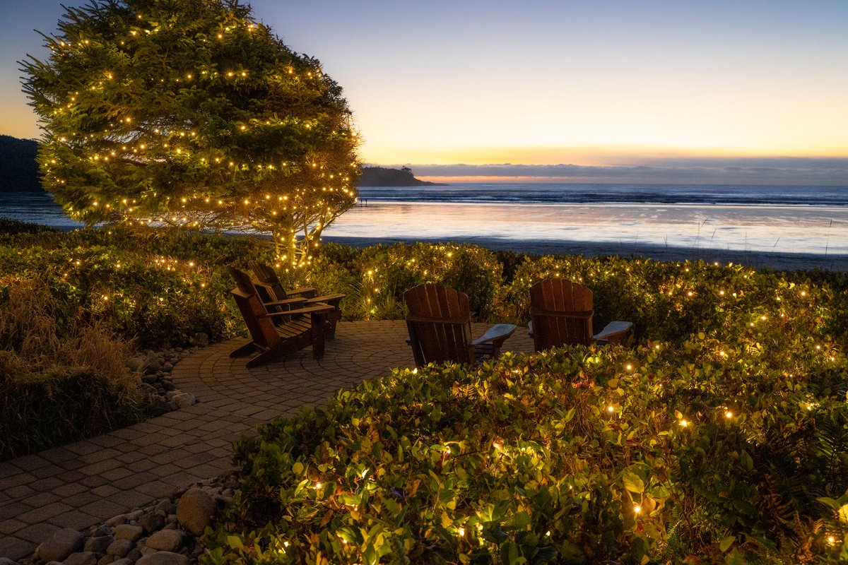 Sparkle, sparkle, the lights are up!