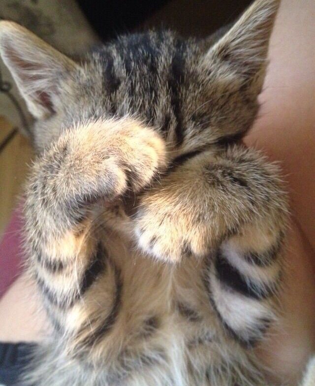 bylerified's tweet image. 