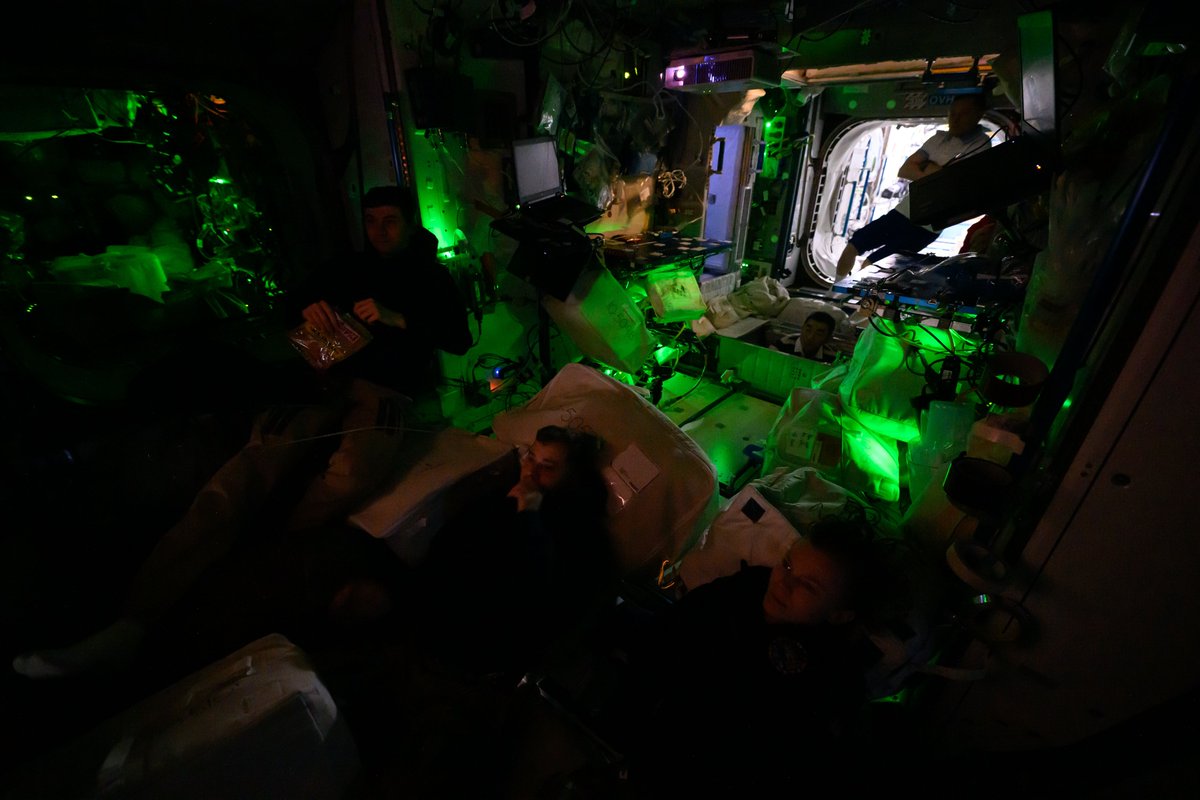 JonnyKimUSA's tweet image. We work hard on the @Space_Station, but we also like to relax together. Sometimes we do movie nights in space.