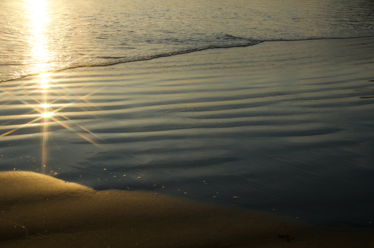 You are the Star.. You are the ripple... You are the code... You are the echo....