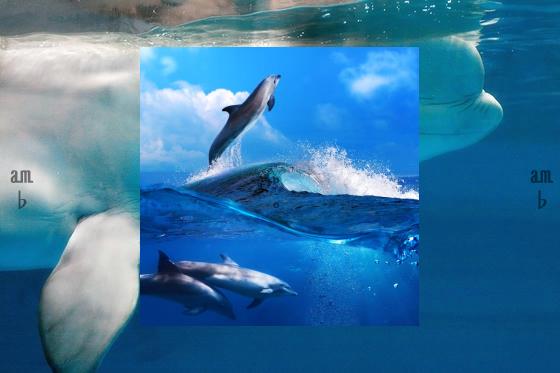 Paruth18's tweet image. 🐾My gloves are old but they still work🧷Coffee remember possibilities every day.🐫