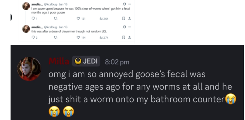 Kcalbug Abuses Animals tweet media