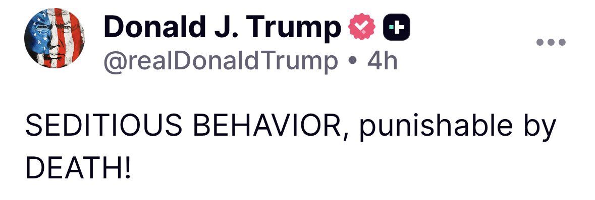 Lindsey 🇺🇸🐝 tweet media