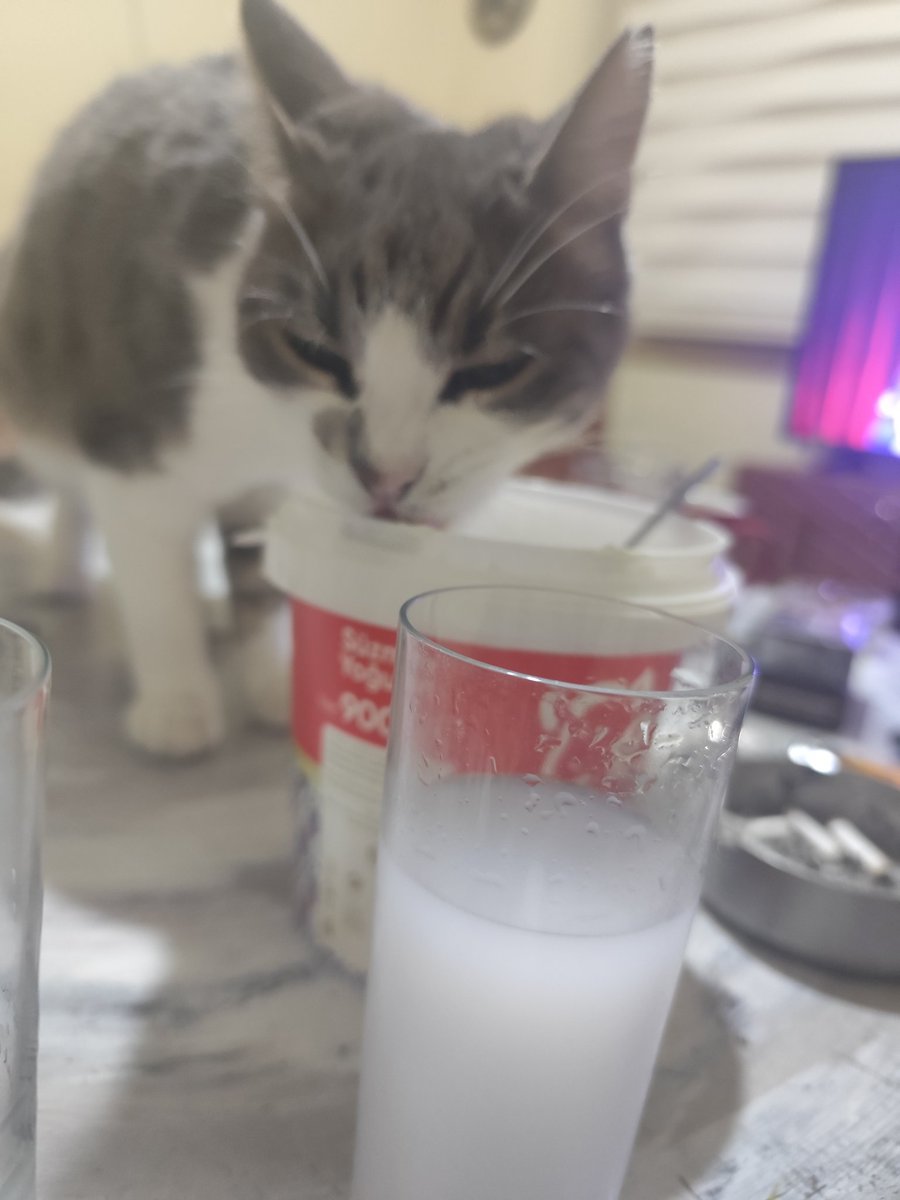 Dertleşmek çok iyi geldi😎😎❤️❤️