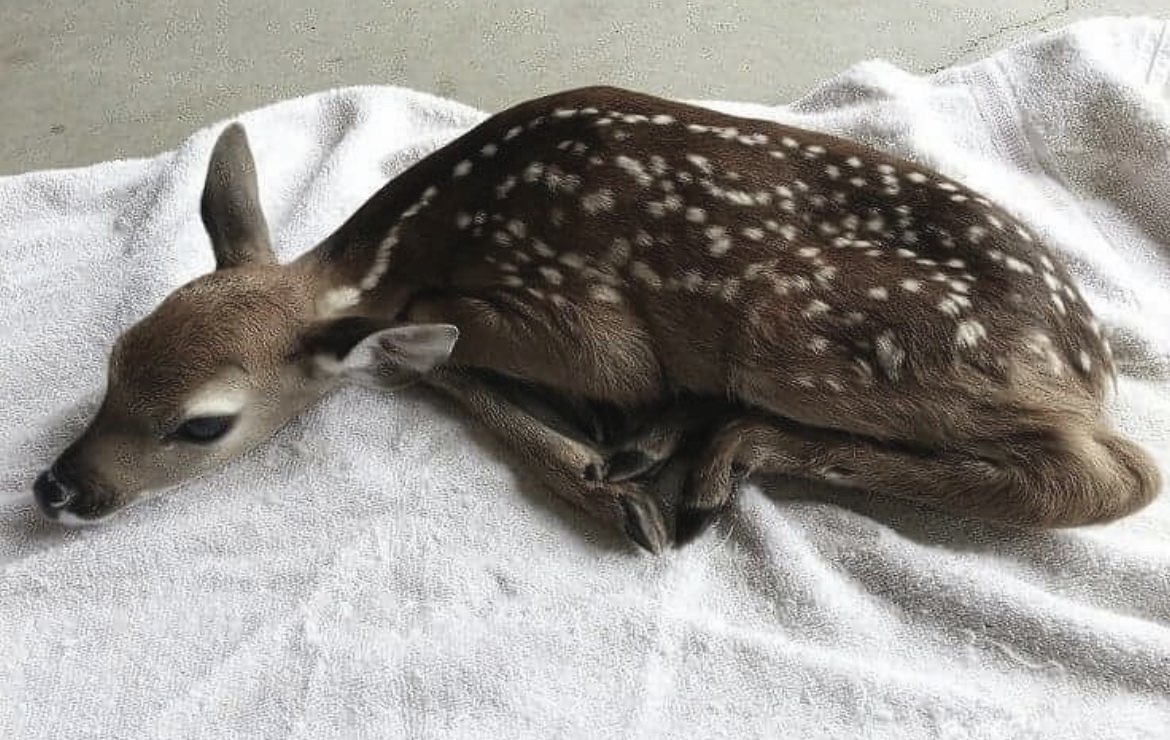 Sar (@sarentries) on Twitter photo 