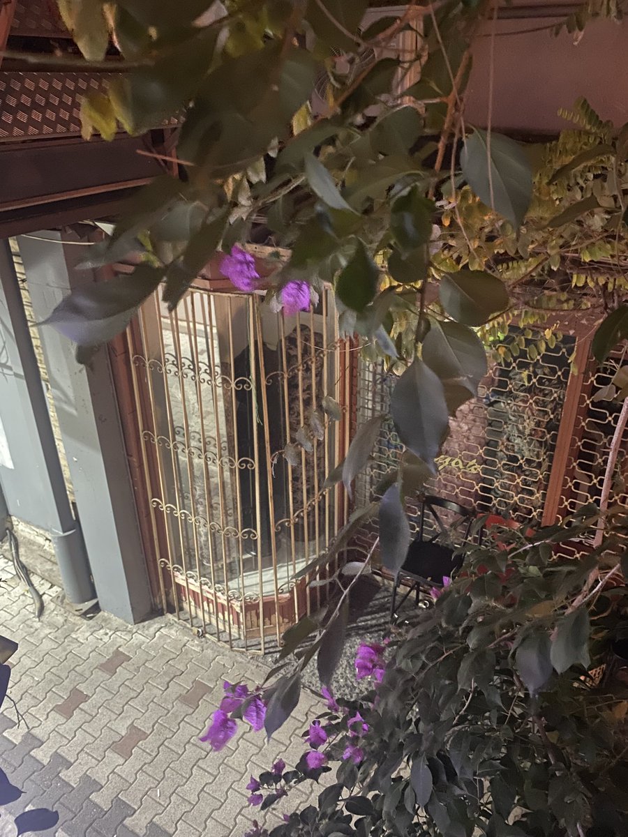 Bazen…..yaşadığını hissetmek …an….