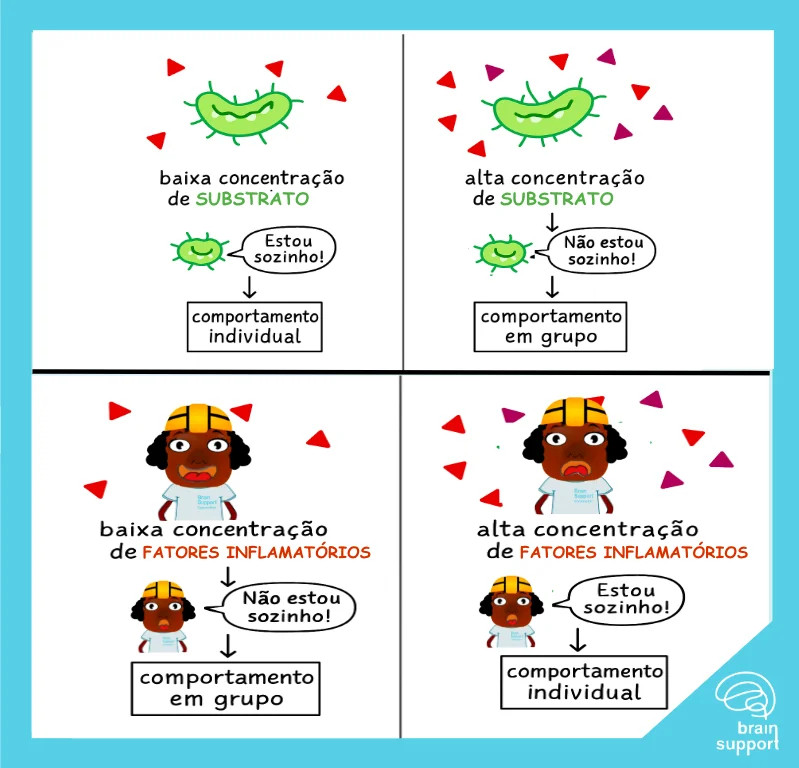 Quorum Sensing Humano (QSH)

#icmpc2025 #Music #Perception #Cognition #MenteDamasiana #TekoPacha #DrexCidad #PIX #ProjetoX #DREX #EEG #NIRS #NIRSEEG #EEGERP

neurosciencegrrl.net/blog/quorum-se…