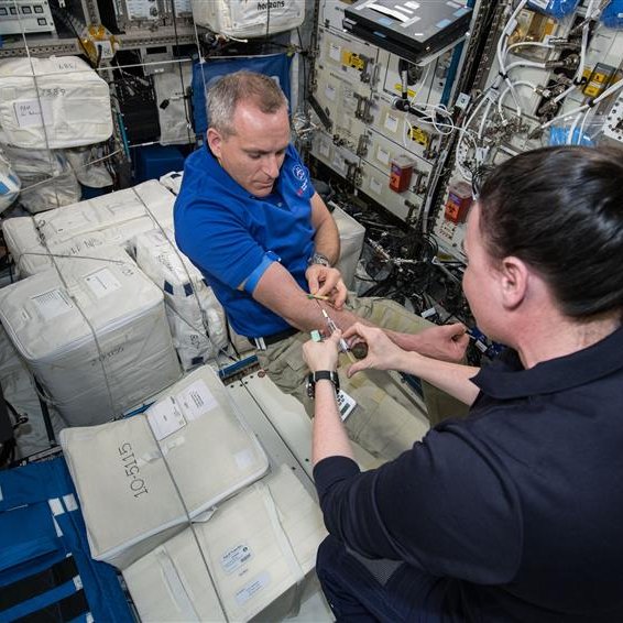 csa_asc's tweet photo. Canadian research is shaping a healthier future on Earth and in space. We have funded 16 cutting-edge research projects on the effects of spaceflight on human health.
Learn more here: https://t.co/zGRGvUw3X3
📷: NASA https://t.co/leX2XAkcqT