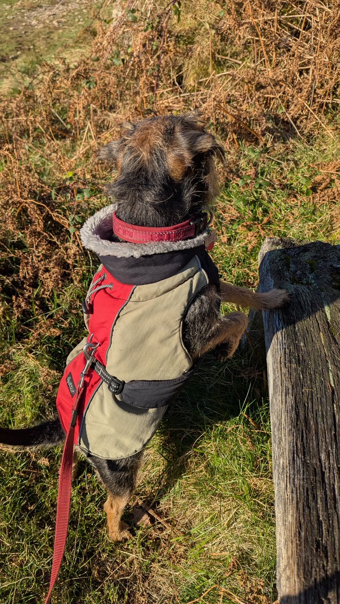 On Nab Scar in my coat today doing Heron pike next pals