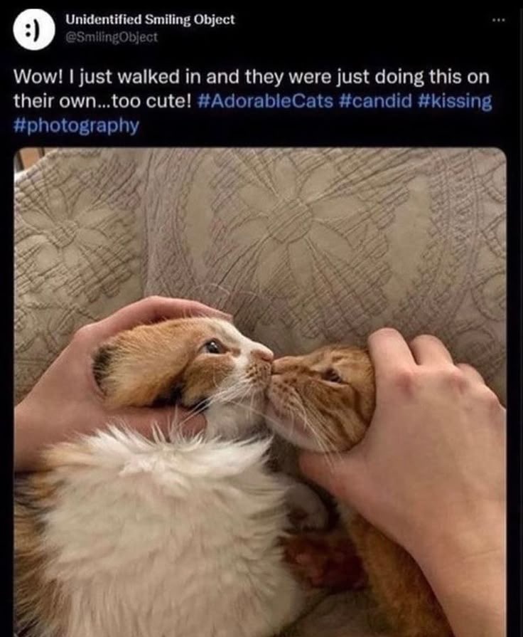 computers556's tweet image. #monstermagic #dieofdeath