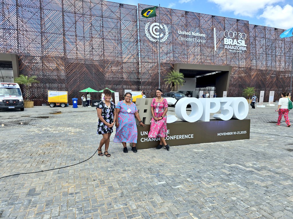 Amelia Rigsby tweet media