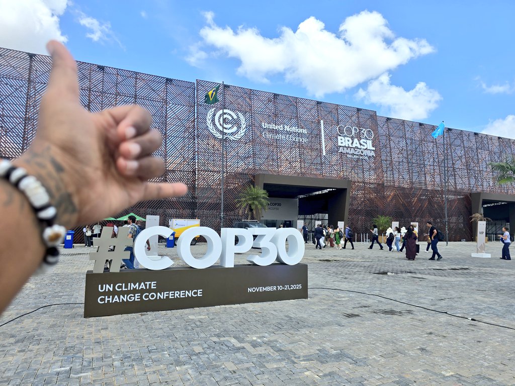 Amelia Rigsby tweet media