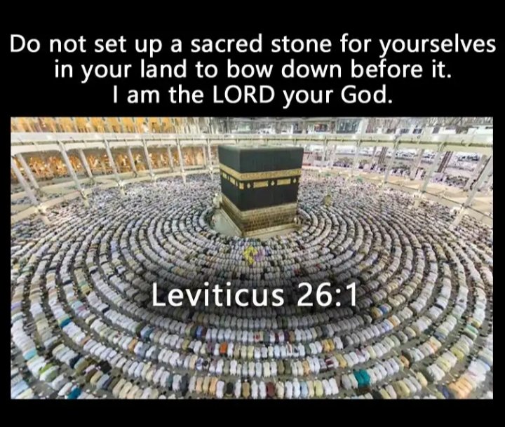 Oopart (@oopartpt) on Twitter photo 