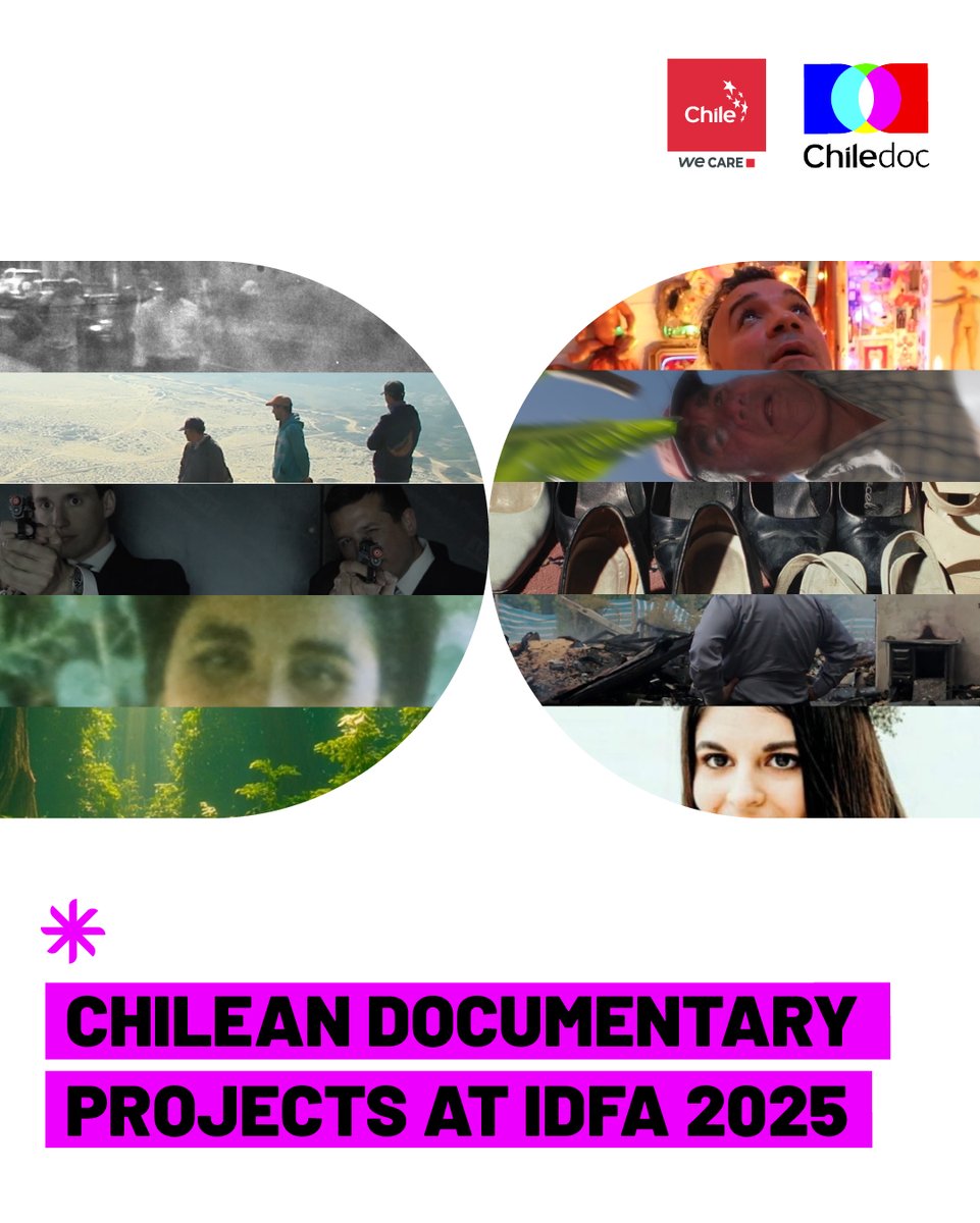CCDocumental tweet media