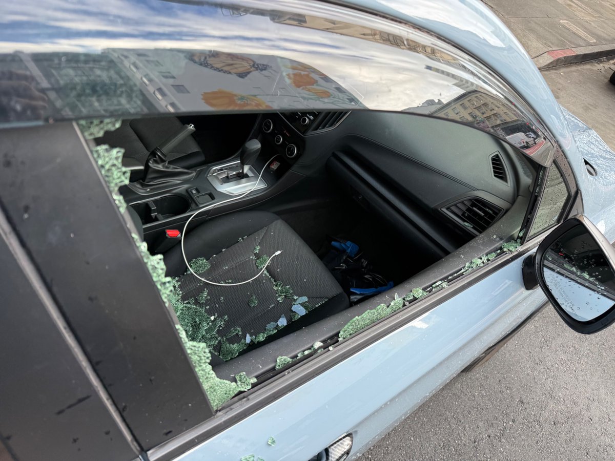 lillysharples's tweet image. Officially an SF local!🎉